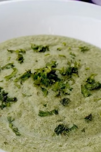 Sopa Super Verde, imagem do material ilustrado